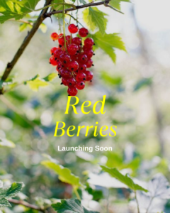 Red Berries Savour and aura