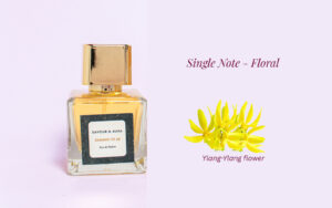 Best Ylang-Ylang Perfume Summer of 64 - Queen of Perfume 